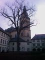 F0014041.jpg