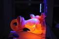 DSC3205.jpg