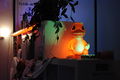 DSC3206.jpg