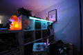 DSC3227.jpg