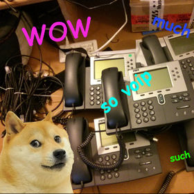 Cat voip.jpg