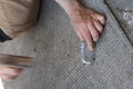 IMG 0444.jpg