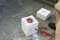 IMG 0483.jpg