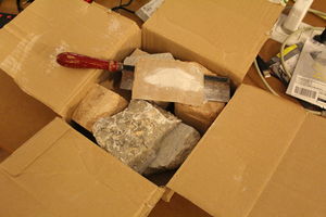 IMG 4217.JPG
