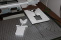IMG 0411.jpg